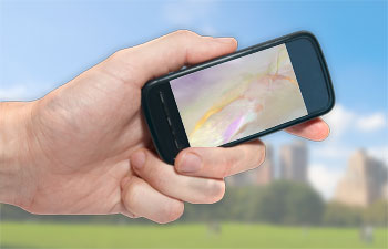 Colors in Motion Apps